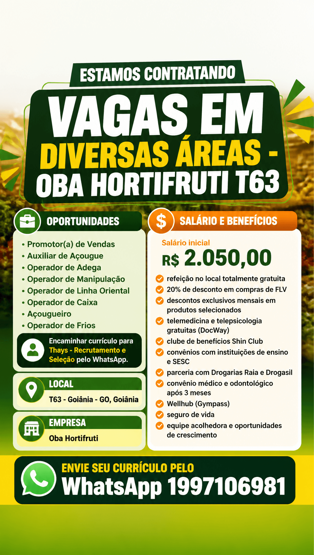 Arte da vaga de Vagas em Diversas Áreas - Oba Hortifruti T63